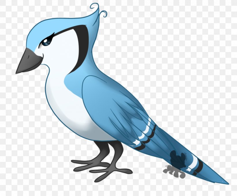 Beak Flightless Bird Wing Feather, PNG, 982x813px, Beak, Bird, Fauna, Feather, Flightless Bird Download Free