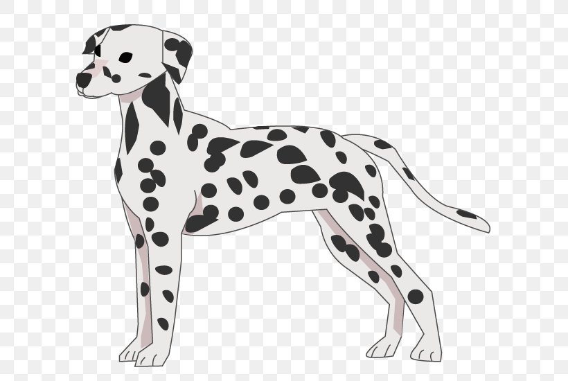 Dalmatian Dog Dog Breed Companion Dog Poodle Shiba Inu, PNG, 640x550px ...