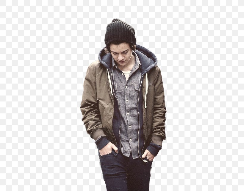 Harry Styles One Direction Take Me Home Male Midnight Memories, PNG, 500x640px, Watercolor, Cartoon, Flower, Frame, Heart Download Free