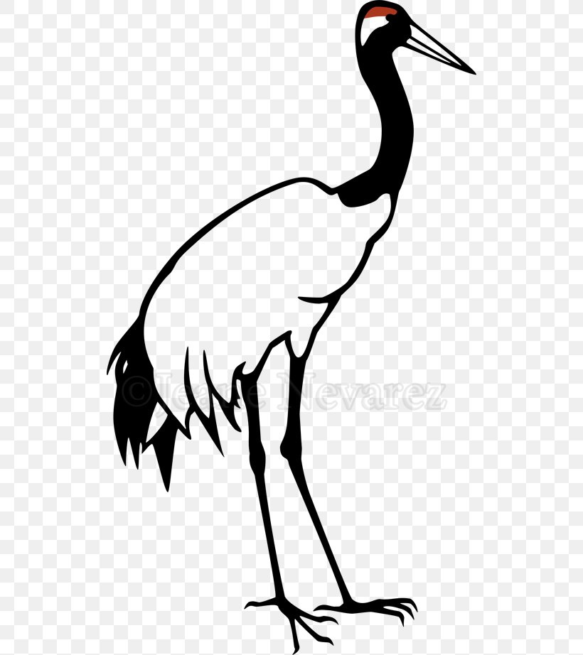 Red-crowned Crane Grey Crowned Crane Bird Clip Art, PNG, 520x922px, Crane, Artwork, Beak, Bird, Black And White Download Free