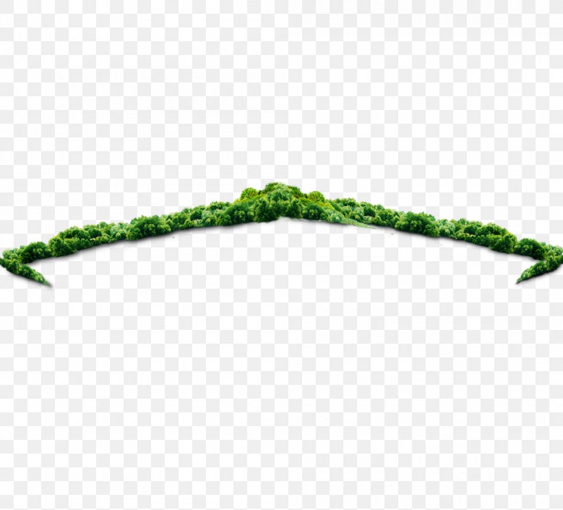 Tree Download Icon, PNG, 1000x905px, Tree, Forest, Grass, Green, Jungle Download Free