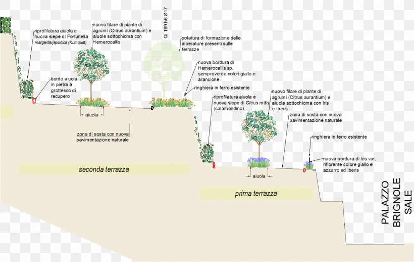 Tree Map Tuberculosis, PNG, 1600x1012px, Tree, Area, Diagram, Map, Plan Download Free