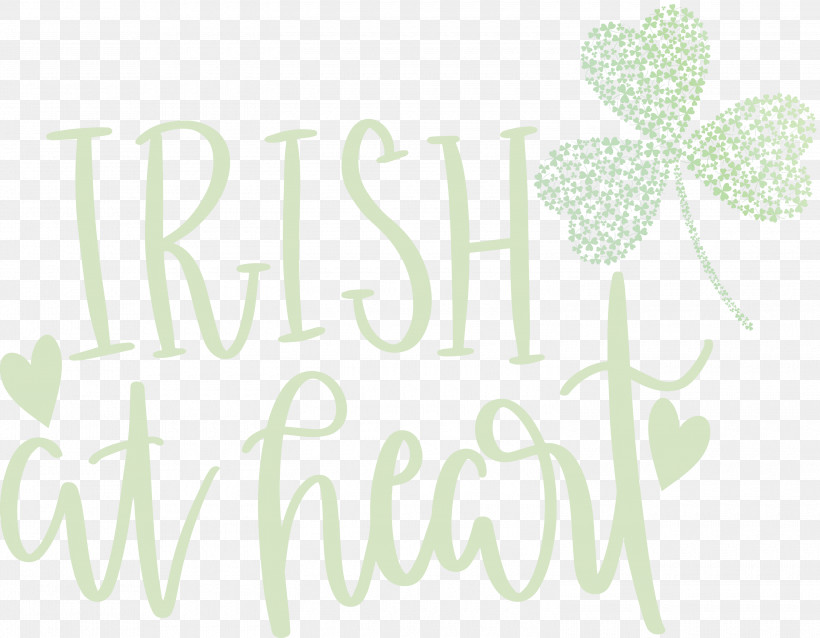 Shamrock Irish Saint Patrick, PNG, 3000x2336px, Shamrock, Biology, Floral Design, Green, Irish Download Free