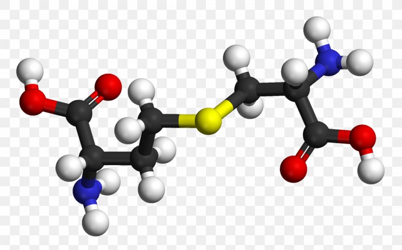 Cystathionine Beta Synthase Cysteine Cystine Amino Acid, PNG, 1060x660px, Cystathionine, Amino Acid, Chemistry, Communication, Cystathionine Beta Synthase Download Free