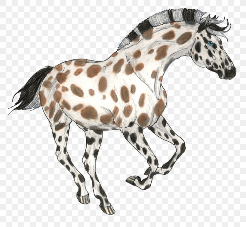 Foal Giraffe Mustang Arabian Horse Pony, PNG, 900x830px, Foal, Animal Figure, Arabian Horse, Buckskin, Fauna Download Free