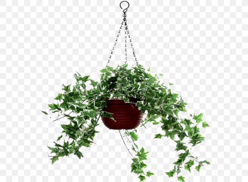 Vascular Plant Artificial Flower Charms & Pendants, PNG, 600x600px, Plant, Artificial Flower, Branch, Charms Pendants, Common Ivy Download Free