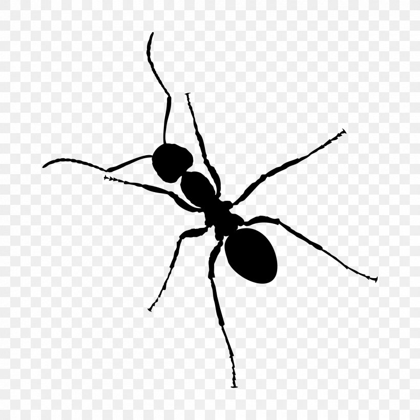 Ant Zap Black And White Insect, PNG, 2400x2400px, Ant, Arthropod, Bee, Black And White, Black Garden Ant Download Free