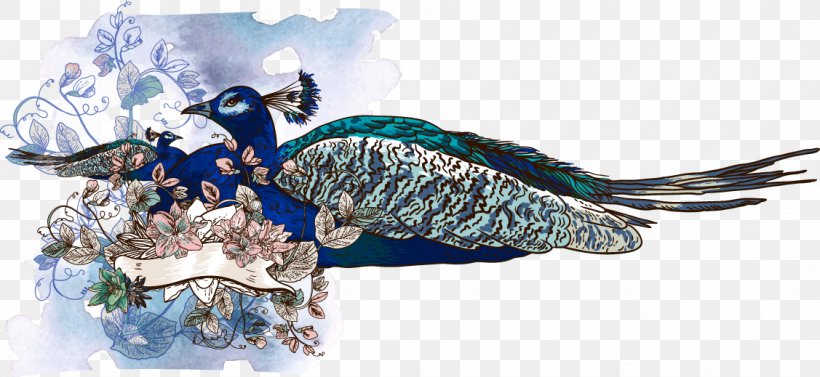 Asiatic Peafowl Illustration, PNG, 1127x519px, Peafowl, Art, Asiatic Peafowl, Blue, Drawing Download Free