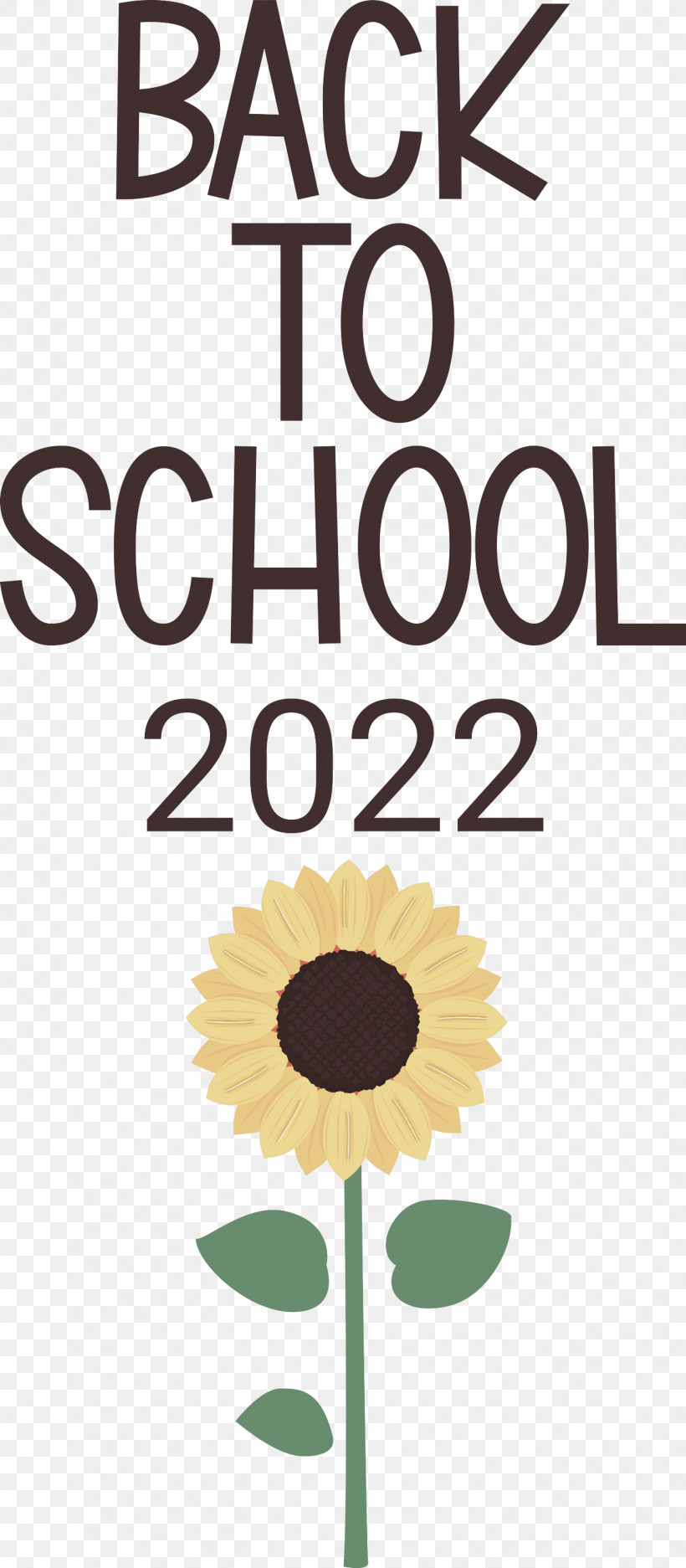Back To School 2022, PNG, 1313x3000px, Floral Design, Biology, Cut Flowers, Flower, Happiness Download Free