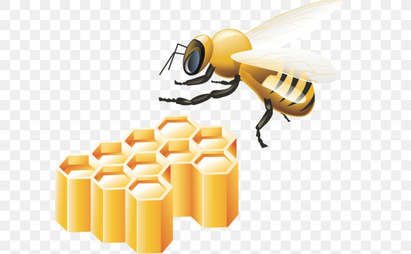 Bee Clip Art, PNG, 600x507px, Bee, Beehive, Honey, Honey Bee, Honeycomb Download Free