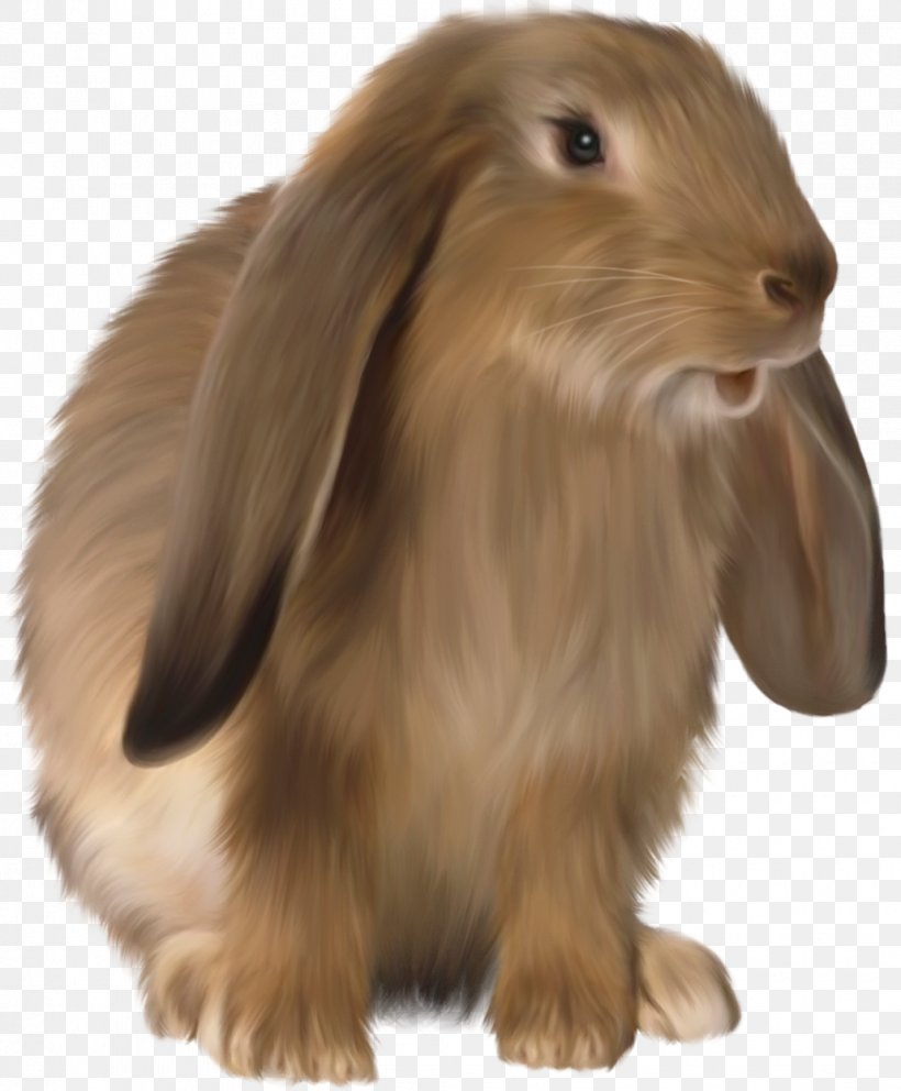 Easter Bunny Domestic Rabbit Hare, PNG, 1030x1247px, Easter Bunny, Animation, Brown Bunny, Dog Breed, Domestic Rabbit Download Free