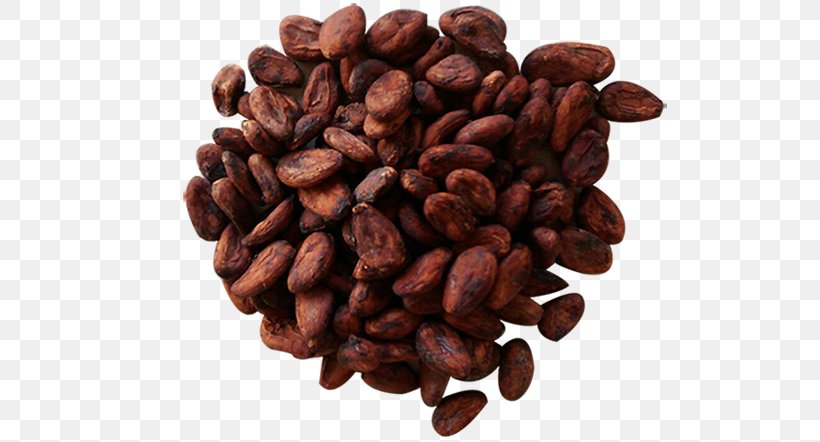 Jamaican Blue Mountain Coffee Cocoa Bean Caffeine Commodity Cacao Tree, PNG, 662x442px, Jamaican Blue Mountain Coffee, Bean, Cacao Tree, Caffeine, Cocoa Bean Download Free