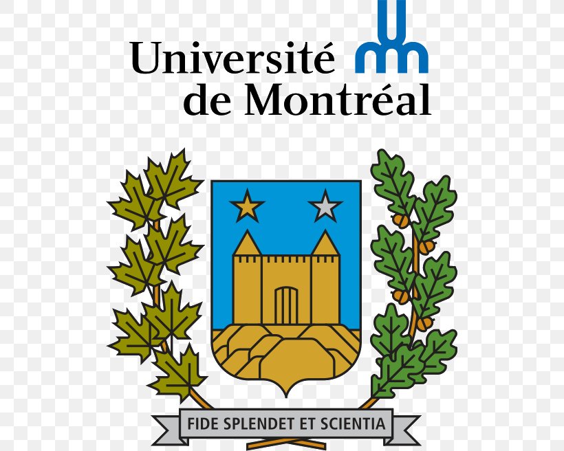 Université De Montréal Faculty Of Medicine École De Bibliothéconomie Et Des Sciences De L'information University, PNG, 511x656px, University, Area, Artwork, College, Education Download Free