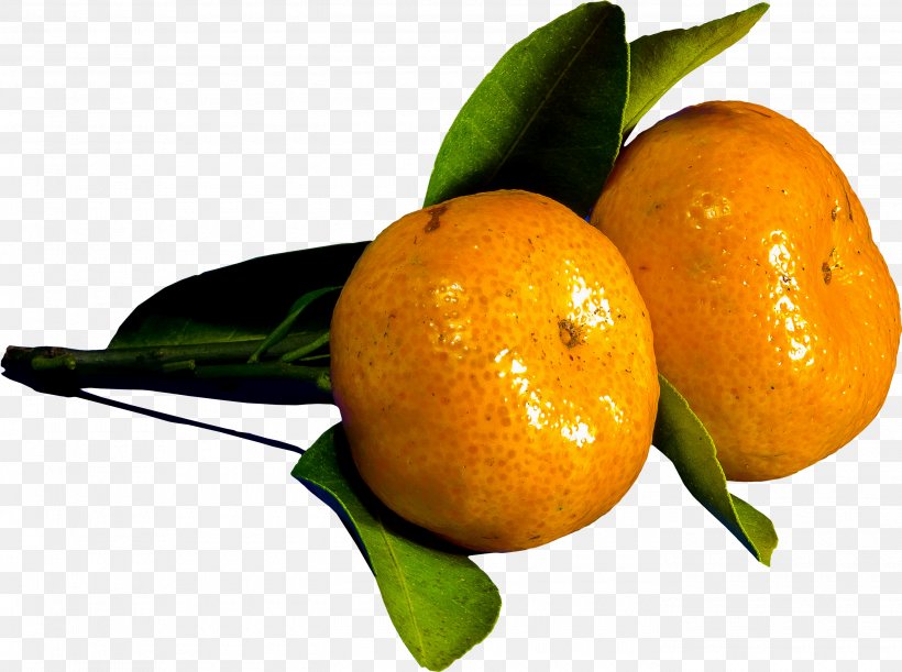 Clementine Mandarin Orange Bitter Orange Rangpur Tangelo, PNG, 2800x2088px, Clementine, Bergamot Orange, Bitter Orange, Calamondin, Citric Acid Download Free
