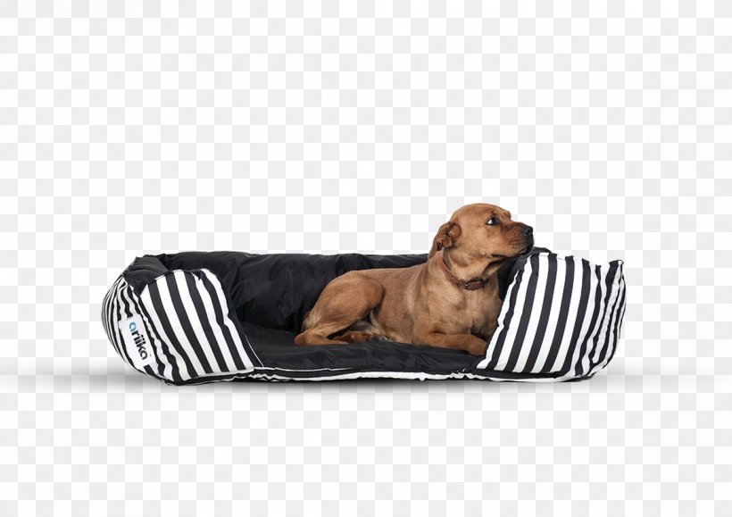 Dog Breed Bed Pillow Furniture, PNG, 1166x824px, Dog, Air Mattresses, Bag, Bean Bag Chairs, Bed Download Free