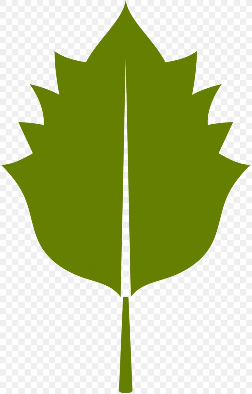 Stock Illustration Royalty-free Vector Graphics Logo, PNG, 1247x1948px, Royaltyfree, Black Maple, Botany, Eagle, Flower Download Free