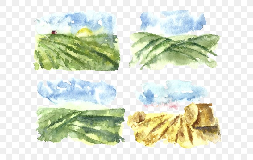 Watercolor Painting Illustration, PNG, 650x520px, Watercolor Painting, Drawing, Farm, Ink Wash Painting, Leaf Vegetable Download Free