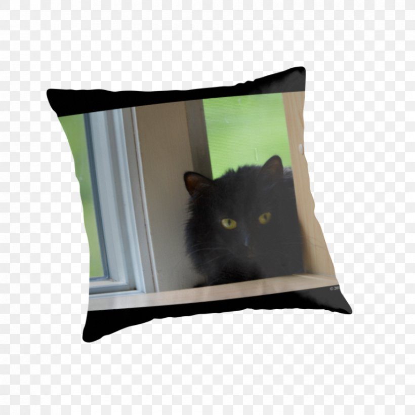 Whiskers Throw Pillows Cat Cushion, PNG, 875x875px, Whiskers, Black Cat, Cat, Cat Like Mammal, Cushion Download Free