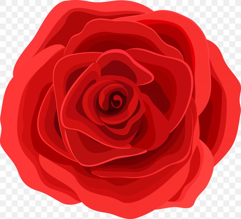 Beach Rose Graphic Design Flower, PNG, 2121x1922px, Beach Rose, China Rose, Cut Flowers, Drawing, Floribunda Download Free