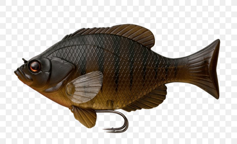 Carp Swimbait Fin Fishing, PNG, 806x500px, Carp, Bait, Bass, Bluegill, Bony Fish Download Free