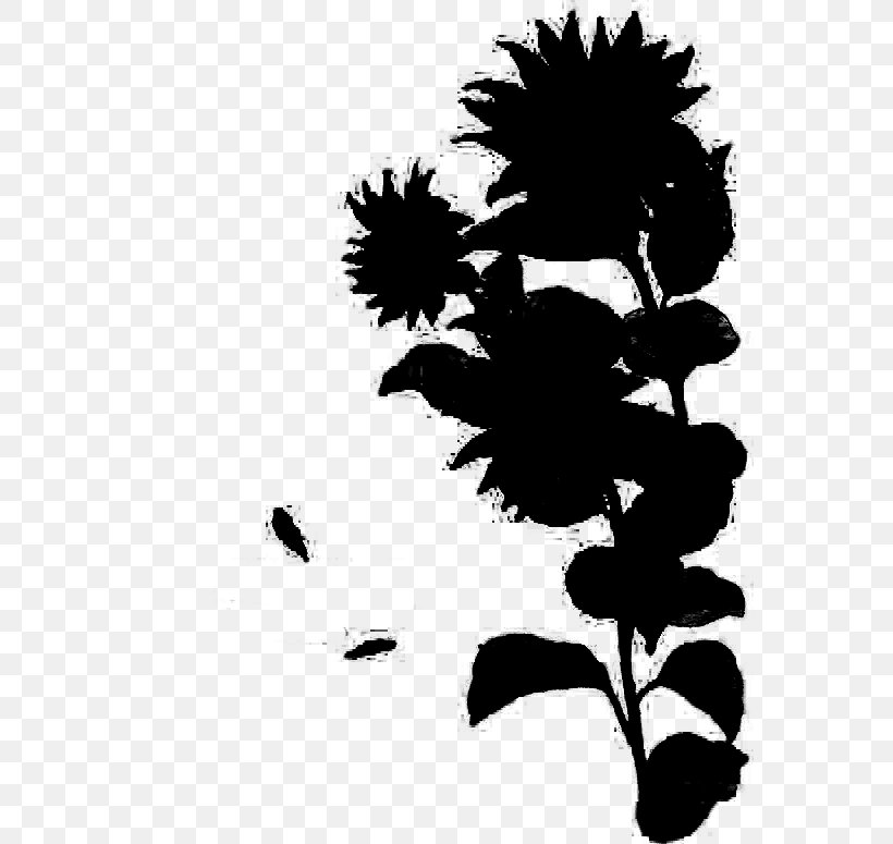 Flowering Plant Pattern Silhouette Font, PNG, 564x775px, Flower, Blackandwhite, Botany, Branching, Flowering Plant Download Free
