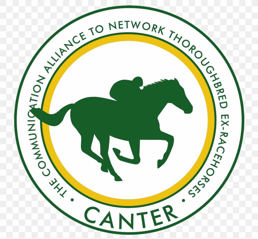 Thoroughbred Canter And Gallop Equestrian Canter MIchigan Horse Racing, PNG, 1053x979px, Thoroughbred, Area, Brand, Canter And Gallop, Equestrian Download Free