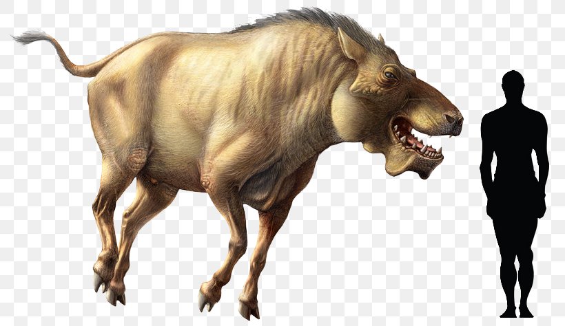 Tyrannosaurus Wild Boar Daeodon Carnivorous Animals Carnivore, PNG, 802x474px, Tyrannosaurus, Animal, Big Cats, Bison, Bull Download Free