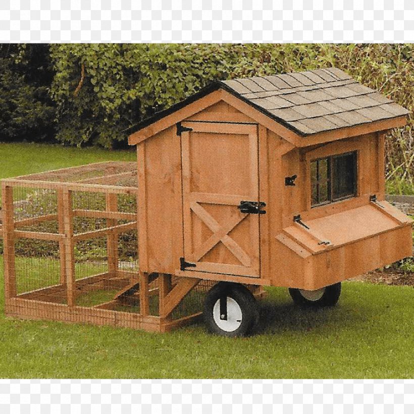 American Black Bear Chicken Tractor Chicken Coop, PNG, 900x900px, American Black Bear, Barn, Bear, Chicken, Chicken Coop Download Free