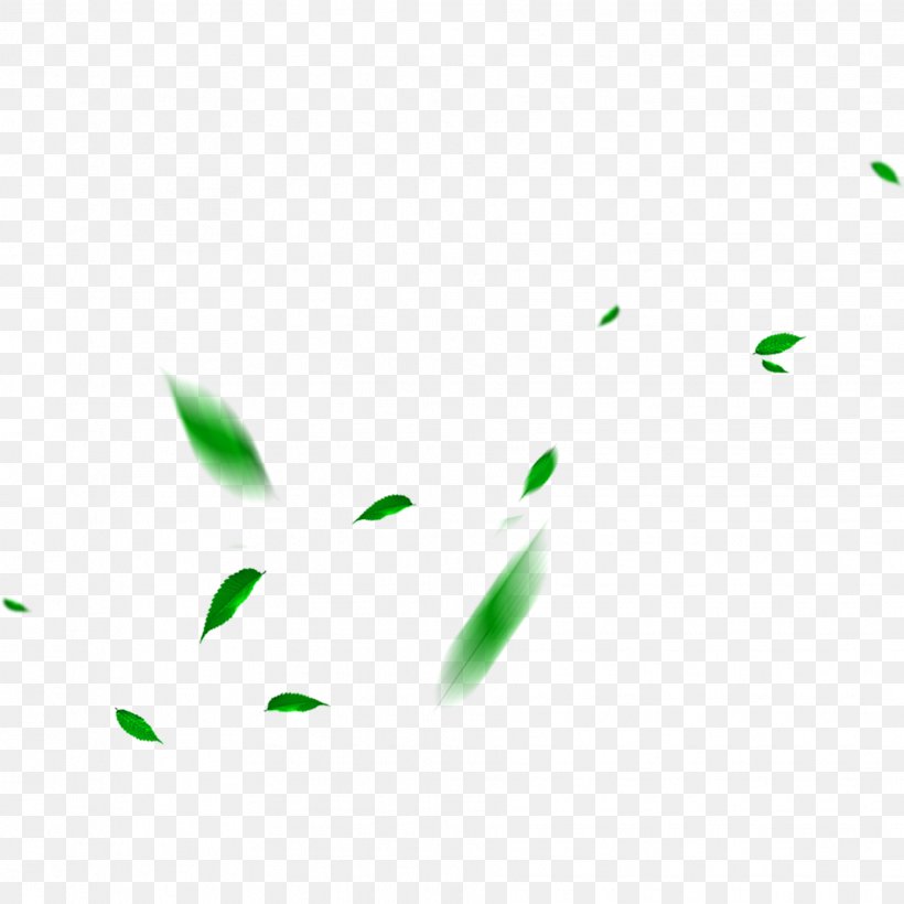 Green Maple Leaf, PNG, 1864x1864px, Green, Google Images, Grass, Leaf, Maple Leaf Download Free
