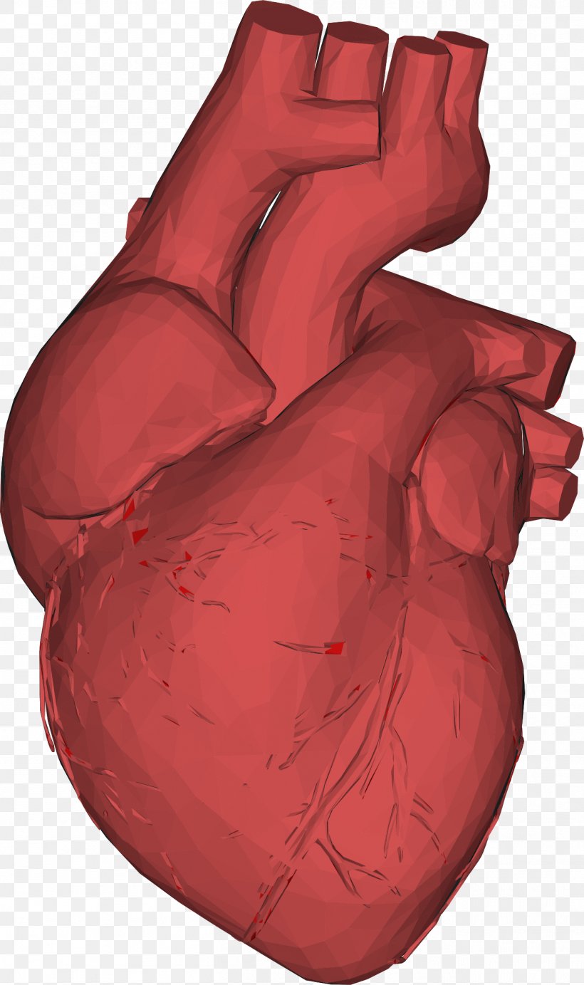 Heart Anatomy Low Poly, PNG, 1358x2292px, Watercolor, Cartoon, Flower, Frame, Heart Download Free
