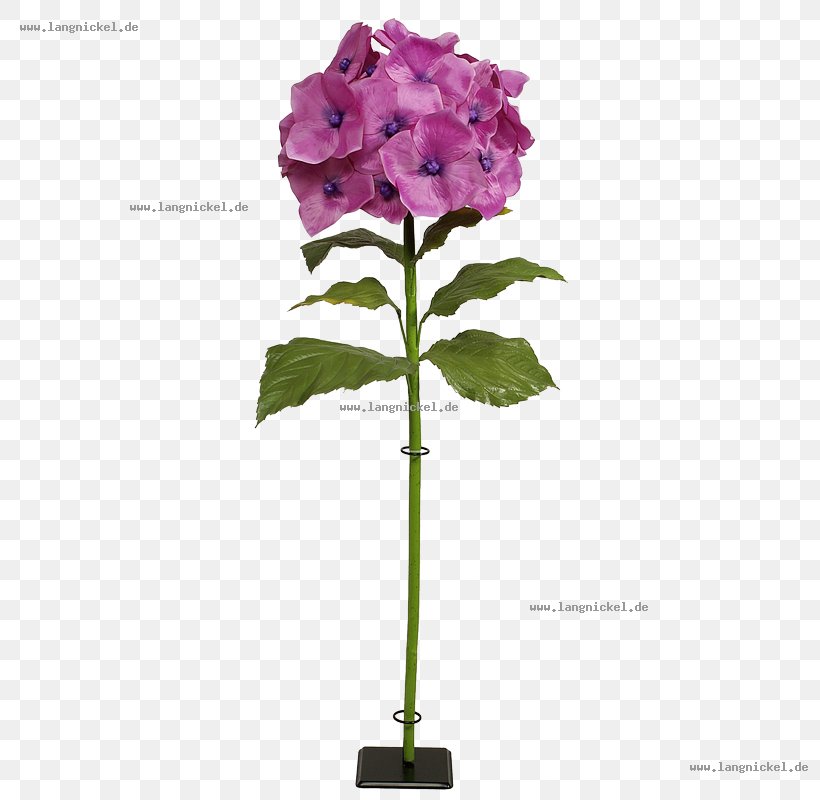 Hydrangea Cut Flowers Flowerpot Moth Orchids, PNG, 800x800px, Hydrangea, Artificial Flower, Cornales, Cut Flowers, Flora Download Free