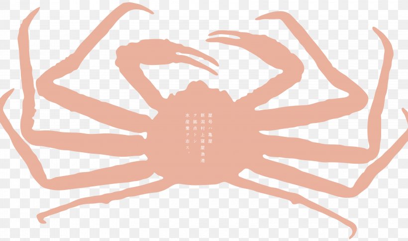 Invertebrate H&M Line Clip Art, PNG, 3200x1900px, Invertebrate, Hand, Organism, Peach Download Free