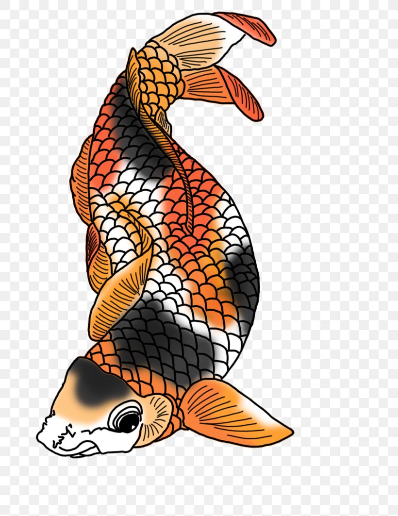 Koi Fish Clip Art, PNG, 736x1063px, Koi, Art, Beak, Color, Drawing Download Free