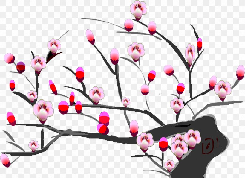 Plum Blossom Flower, PNG, 852x619px, Plum Blossom, Blossom, Branch, Cherry, Cherry Blossom Download Free