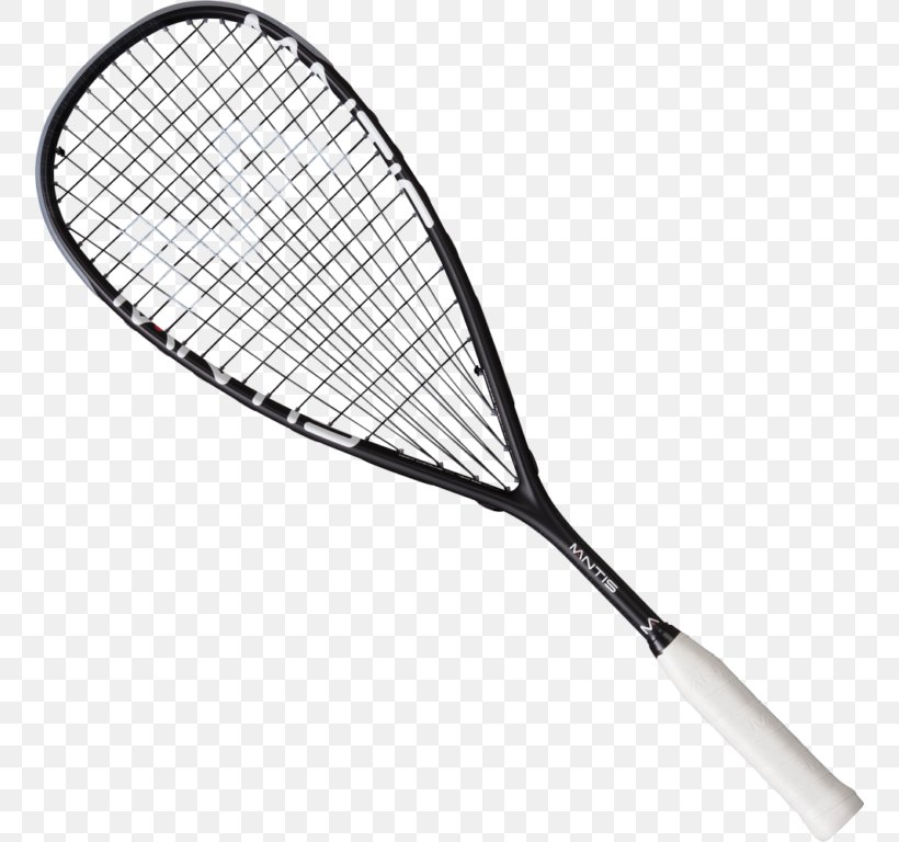 Racket Squash Strings Ball Sport, PNG, 768x768px, Racket, Ball, Prince Sports, Racket Sports, Rackets Download Free