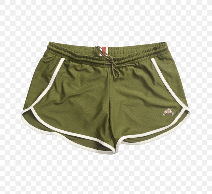 Underpants Swim Briefs Trunks Swimsuit, PNG, 750x750px, Watercolor, Cartoon, Flower, Frame, Heart Download Free