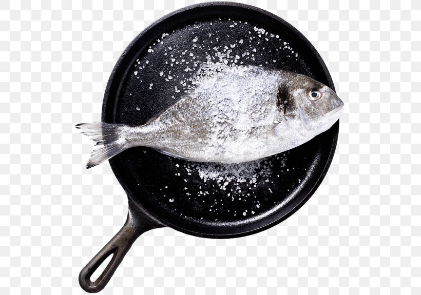 Fish Seafood Dishes Salt, PNG, 575x575px, Fish, Cooking, Dish, Food, Foodservice Download Free