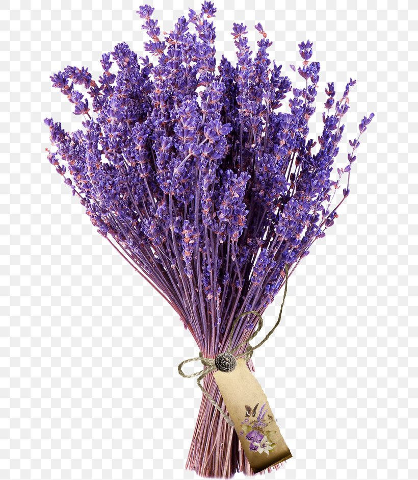 Flower Bouquet French Lavender Cut Flowers Lavender Museum, PNG, 650x941px, Flower, Artificial Flower, Botany, Branch, Cut Flowers Download Free