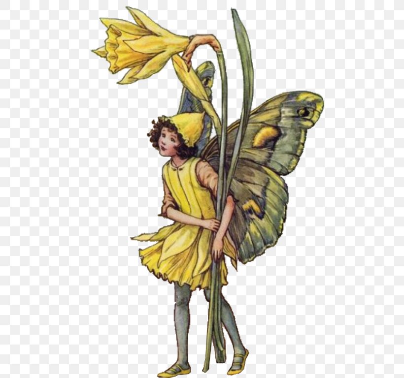 The Book Of The Flower Fairies Flower Fairies Of The Summer A Flower Fairy Alphabet, PNG, 497x768px, Flower Fairies, Art, Artist, Book Of The Flower Fairies, Cicely Mary Barker Download Free