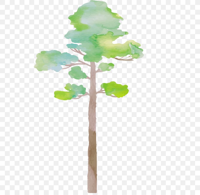 Tree Painting, PNG, 800x800px, Tree, Branch, Color, Drawing, Leaf Download Free