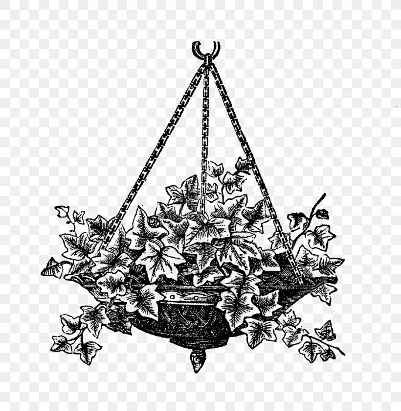 Black And White Drawing Ivy Clip Art, PNG, 1562x1600px, Black And White, Chandelier, Digital Image, Drawing, Fern Download Free