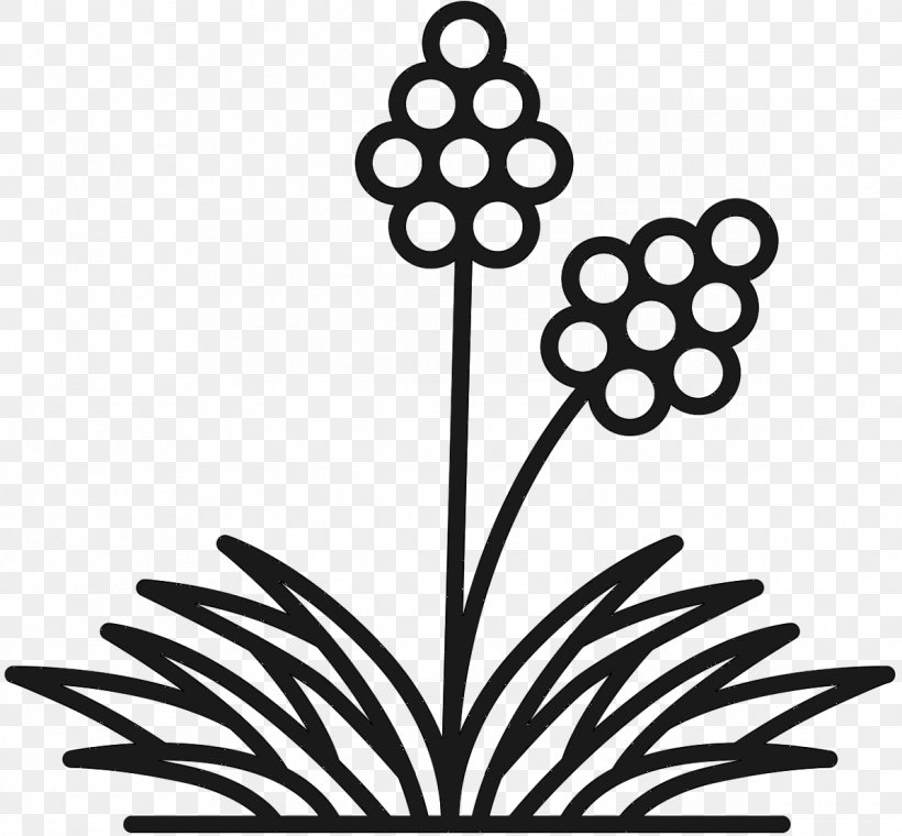 Clip Art Plant Stem Black & White, PNG, 1193x1107px, Plant Stem, Black White M, Blackandwhite, Botany, Branching Download Free