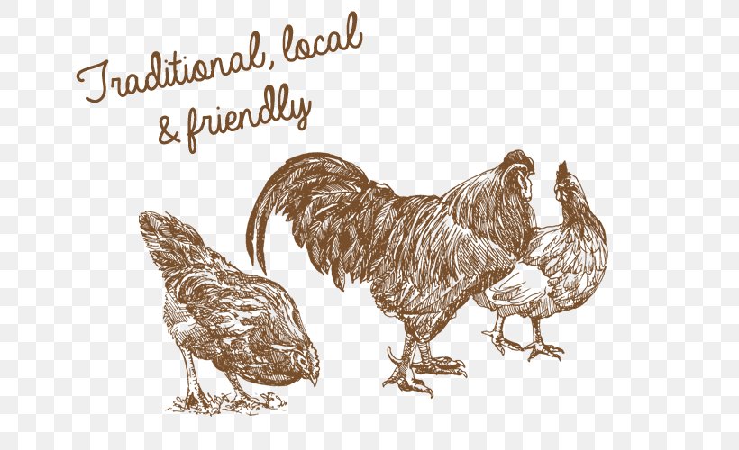 Livestock Drawing Chicken Sketch, PNG, 700x500px, Livestock, Beak, Bird, Chicken, Chicken Coop Download Free