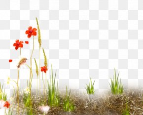 PhotoFiltre Blog PNG