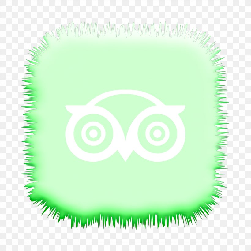 Social Media Icon, PNG, 1176x1176px, Media Icon, Animal, Closeup, Computer, Green Download Free