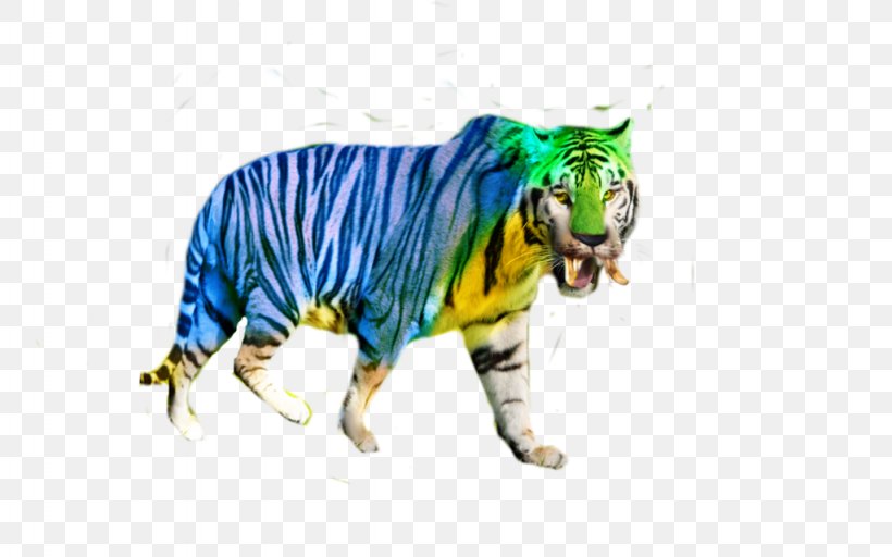 Tiger Big Cat Bento Wildlife, PNG, 1024x640px, Tiger, Bento, Big Cat, Big Cats, Carnivoran Download Free