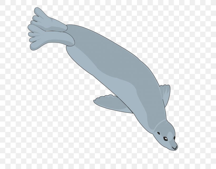 Tucuxi Common Bottlenose Dolphin Porpoise, PNG, 640x640px, Tucuxi, Animal, Bottlenose Dolphin, Common Bottlenose Dolphin, Dolphin Download Free
