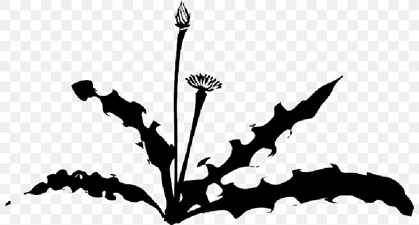 Vector Graphics Clip Art Weed Illustration, PNG, 800x441px, Weed, Blackandwhite, Botany, Branch, Drawing Download Free