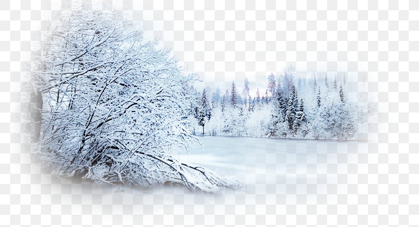 Winter Desktop Wallpaper Photography Snow Clip Art, PNG, 776x444px, Winter,  Blizzard, Branch, Christmas Day, Fir Download