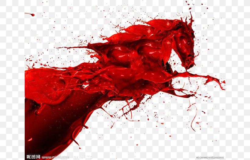 American Paint Horse Howrse Cheval Rouge Pony Black Beauty, PNG, 658x526px, American Paint Horse, Black Beauty, Blood, Guangzhou, Horse Download Free